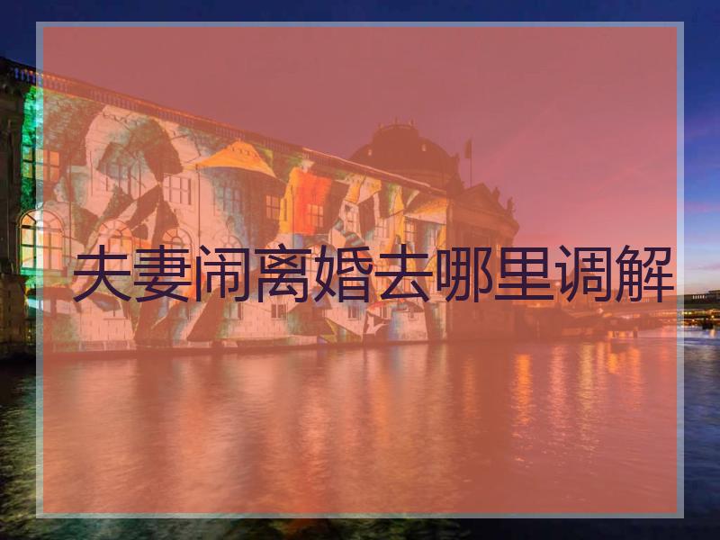 夫妻闹离婚去哪里调解