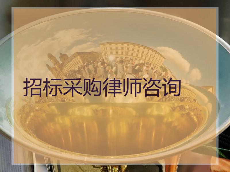 招标采购律师咨询