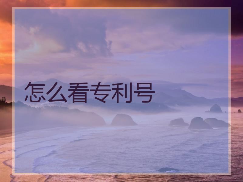 怎么看专利号