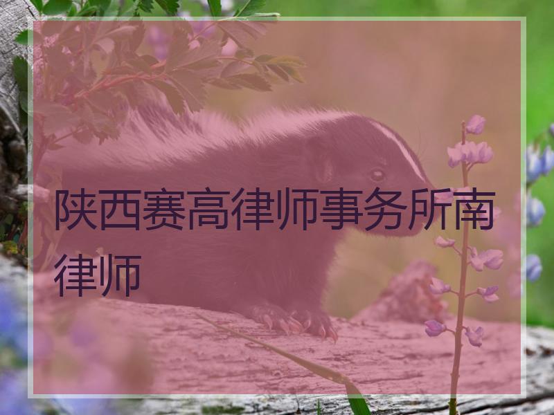 陕西赛高律师事务所南律师