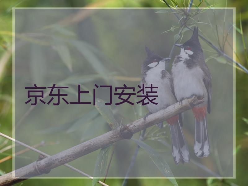 京东上门安装