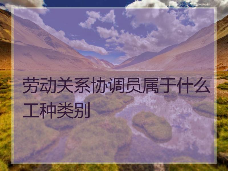 劳动关系协调员属于什么工种类别