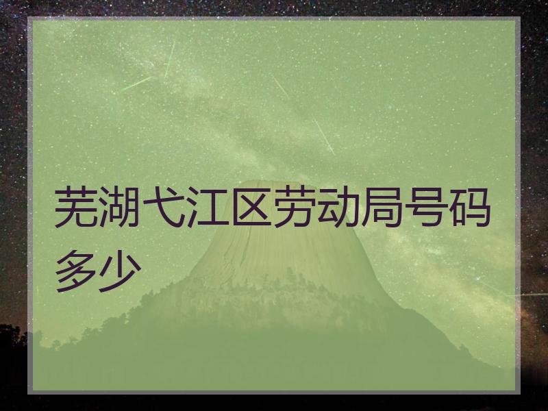 芜湖弋江区劳动局号码多少
