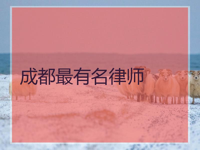 成都最有名律师