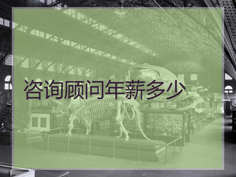 咨询顾问年薪多少