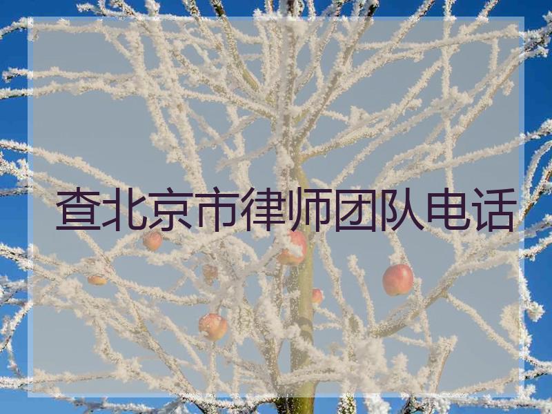 查北京市律师团队电话