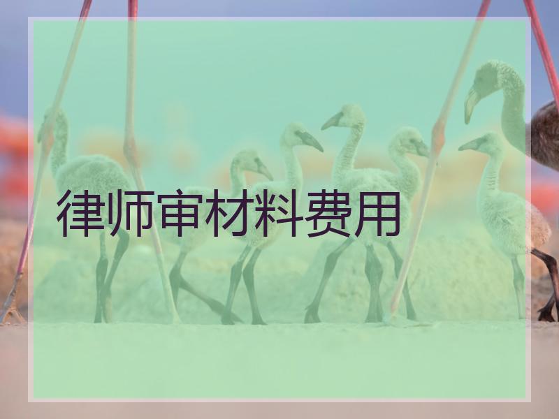 律师审材料费用
