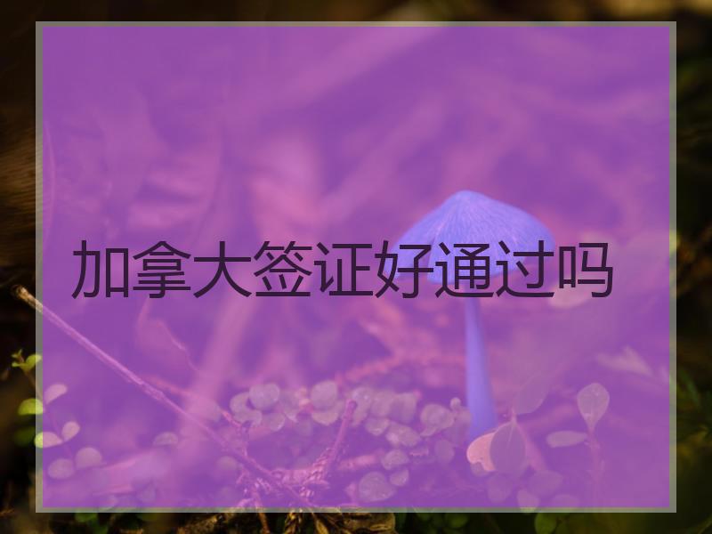 加拿大签证好通过吗