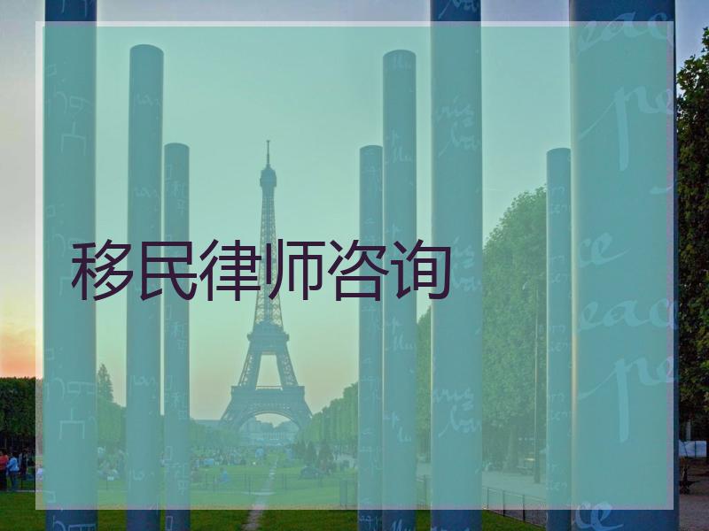 移民律师咨询
