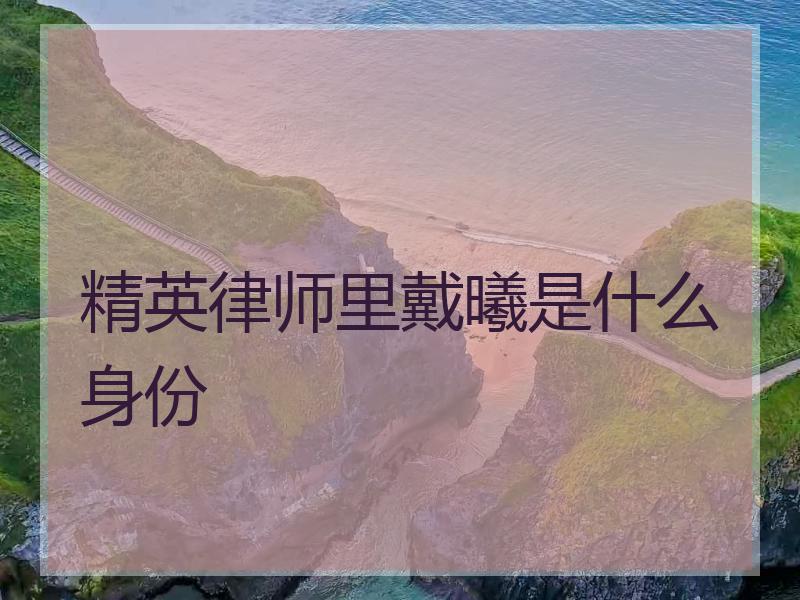 精英律师里戴曦是什么身份