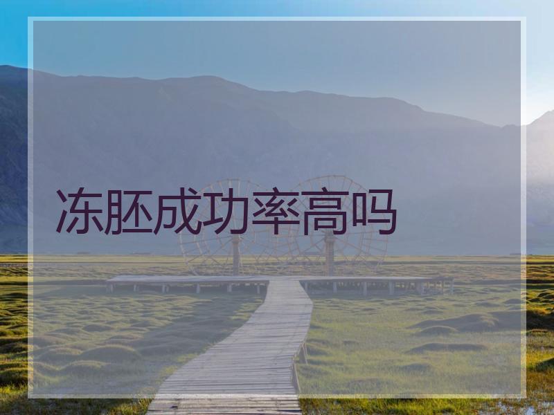 冻胚成功率高吗