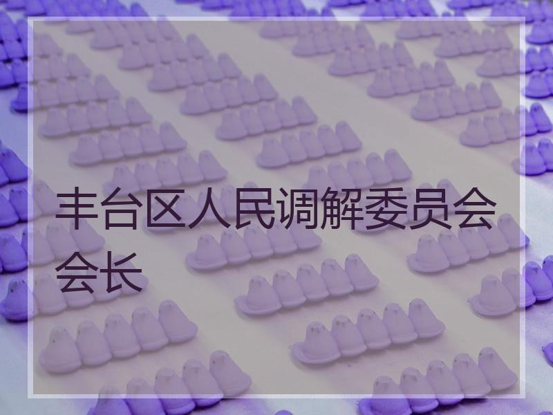 丰台区人民调解委员会会长