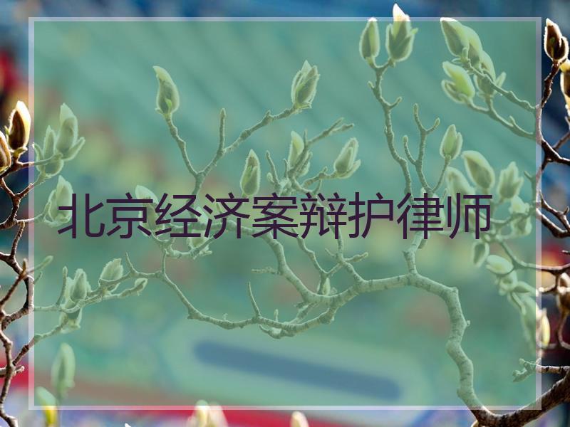 北京经济案辩护律师