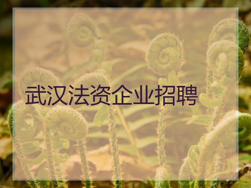 武汉法资企业招聘