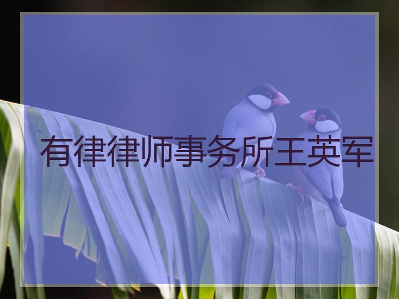 有律律师事务所王英军