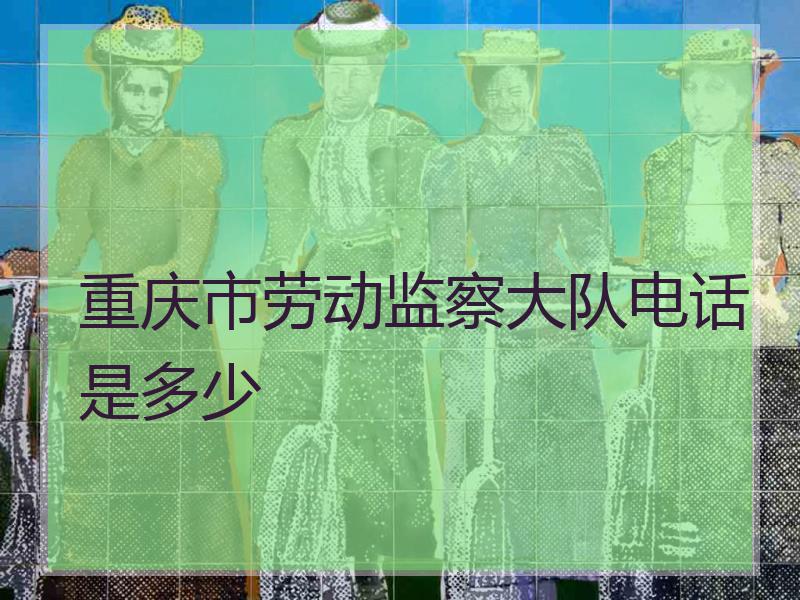 重庆市劳动监察大队电话是多少