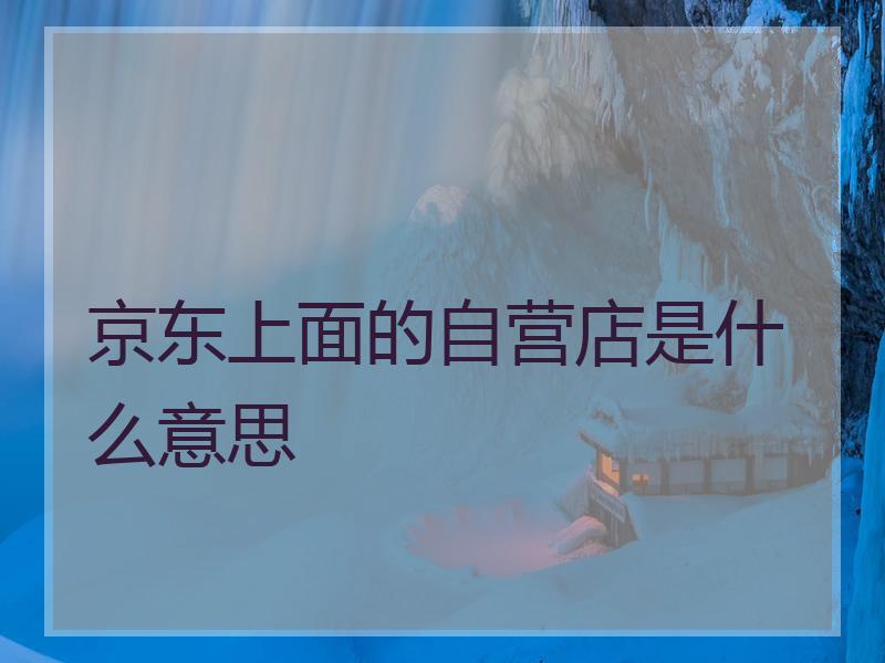 京东上面的自营店是什么意思