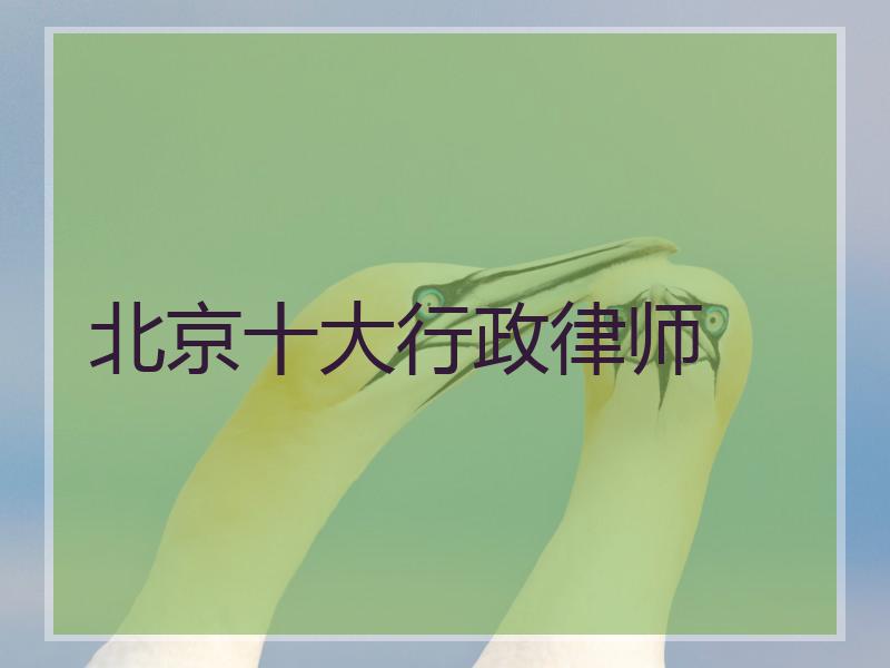 北京十大行政律师