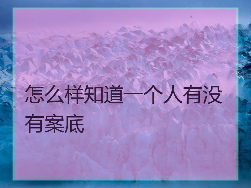 怎么样知道一个人有没有案底