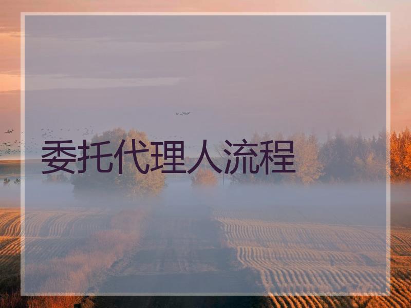 委托代理人流程