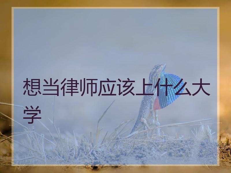 想当律师应该上什么大学