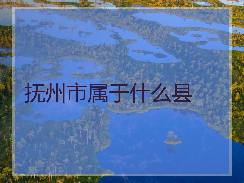 抚州市属于什么县