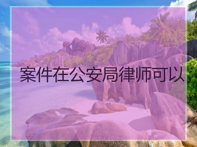 案件在公安局律师可以