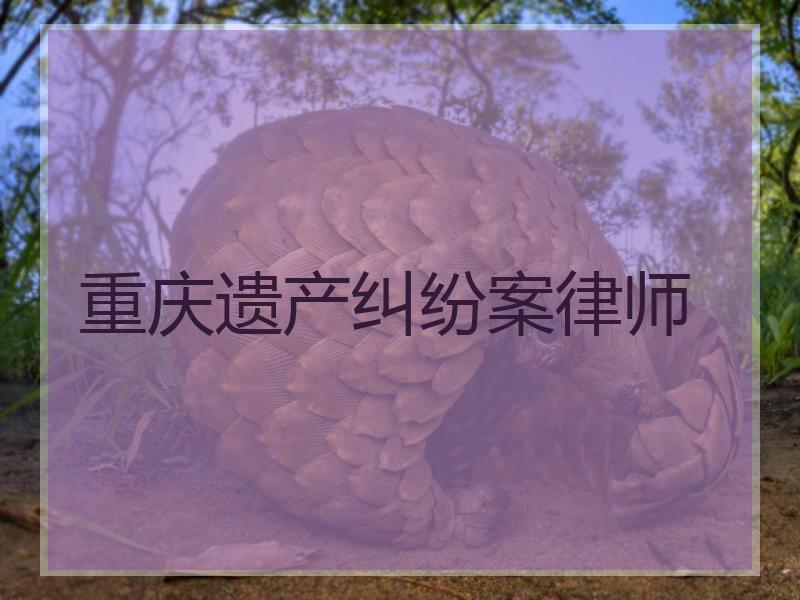 重庆遗产纠纷案律师