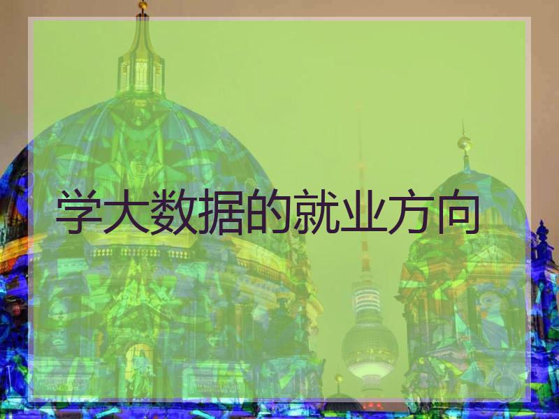学大数据的就业方向