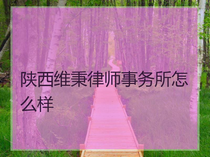 陕西维秉律师事务所怎么样