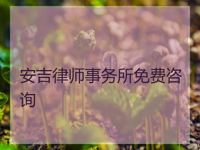 安吉律师事务所免费咨询