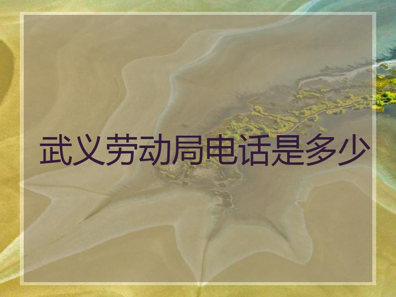 武义劳动局电话是多少