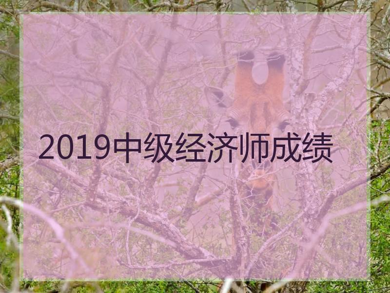 2019中级经济师成绩