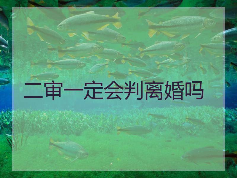 二审一定会判离婚吗