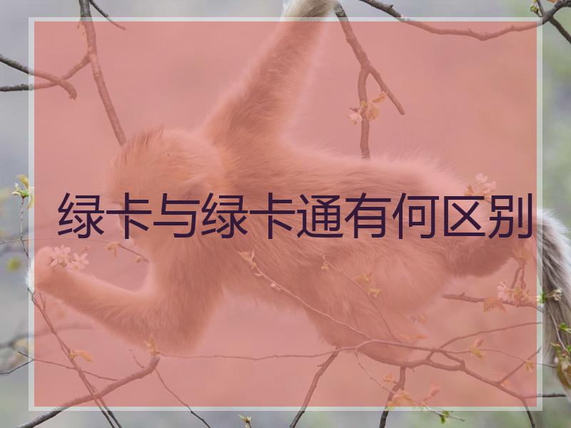 绿卡与绿卡通有何区别