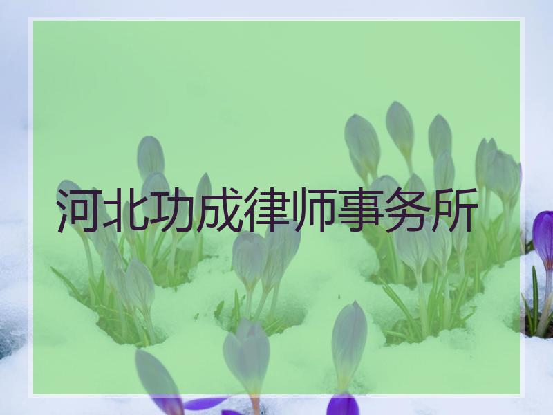 河北功成律师事务所