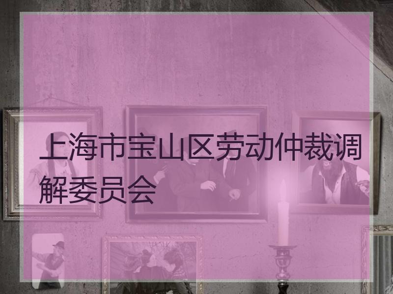 上海市宝山区劳动仲裁调解委员会