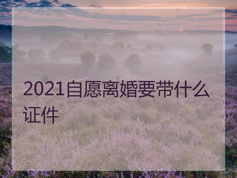 2021自愿离婚要带什么证件