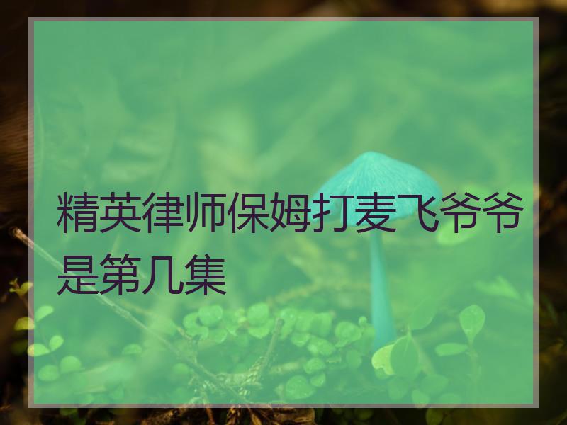 精英律师保姆打麦飞爷爷是第几集