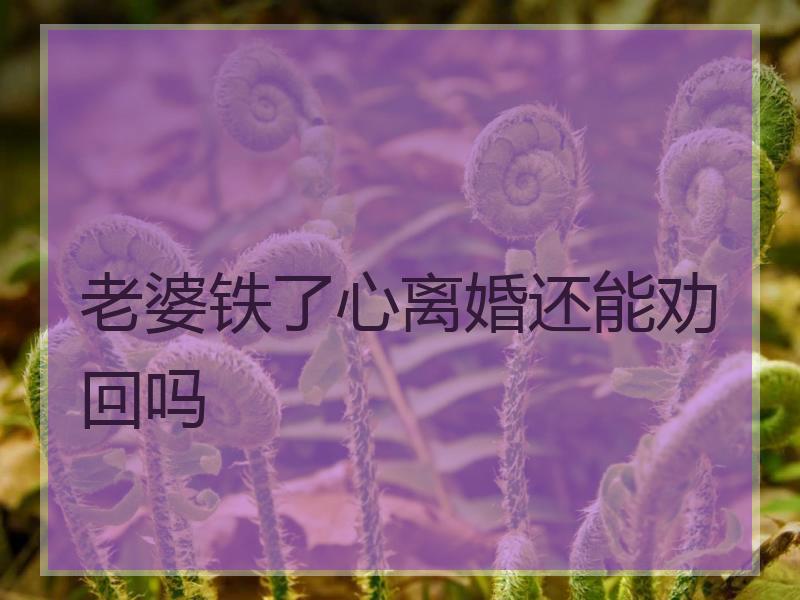 老婆铁了心离婚还能劝回吗