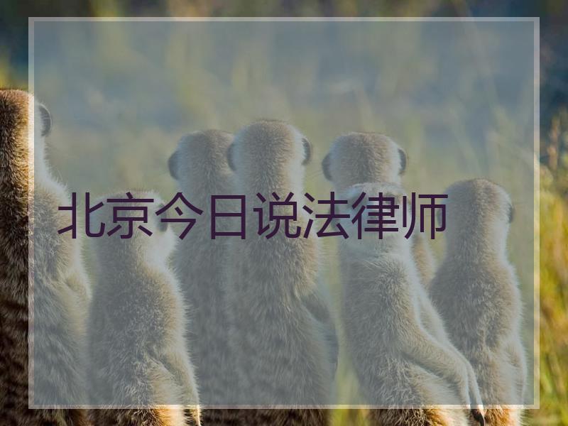北京今日说法律师