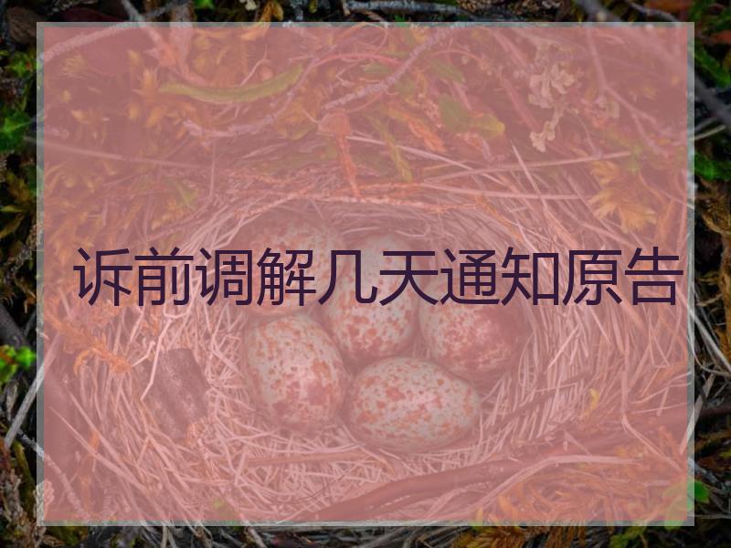 诉前调解几天通知原告