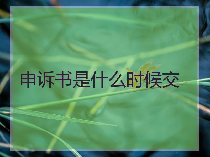 申诉书是什么时候交