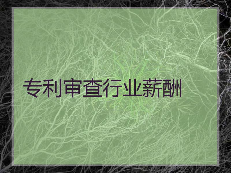 专利审查行业薪酬