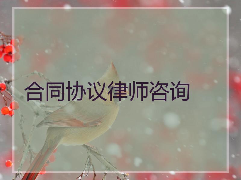 合同协议律师咨询