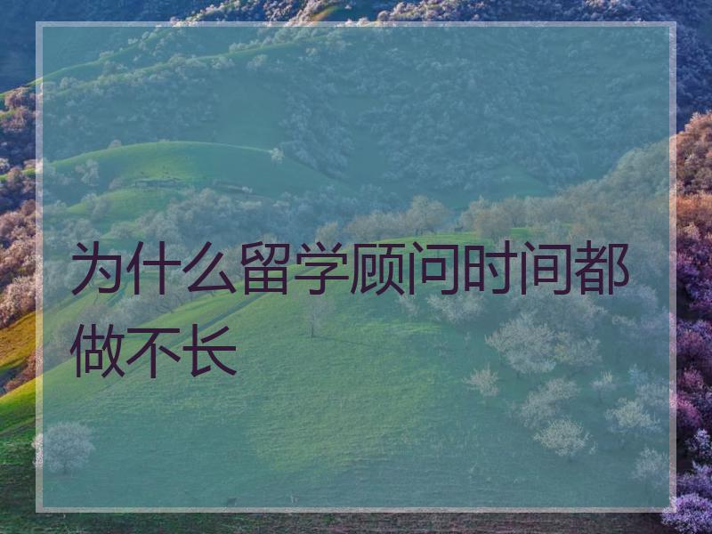 为什么留学顾问时间都做不长