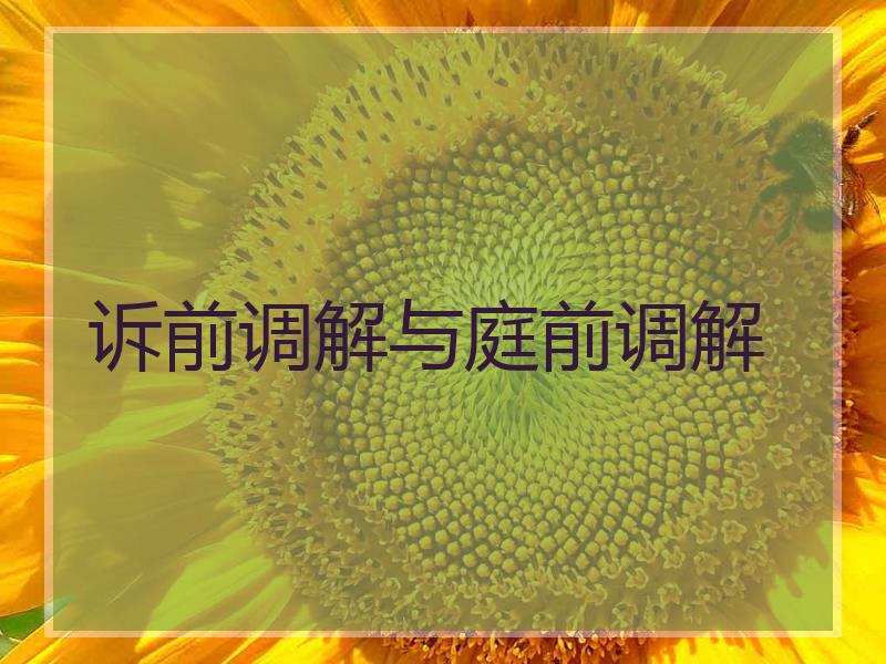 诉前调解与庭前调解