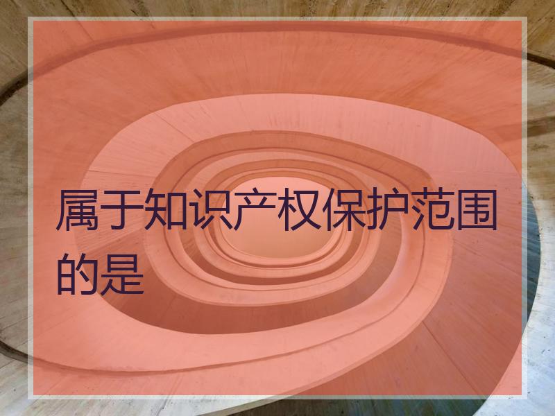属于知识产权保护范围的是