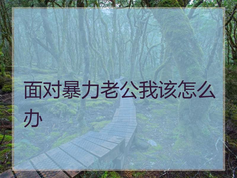 面对暴力老公我该怎么办