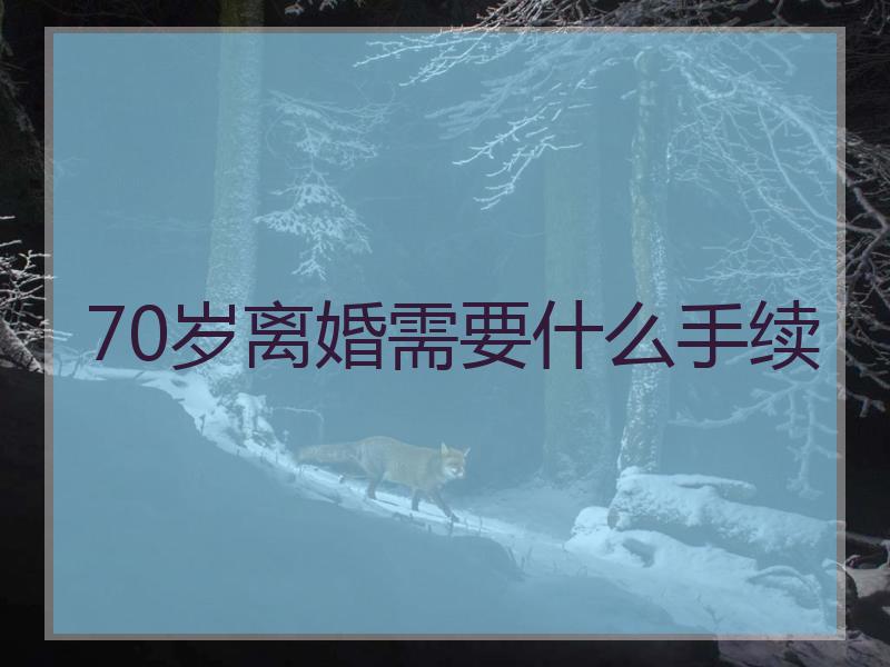 70岁离婚需要什么手续
